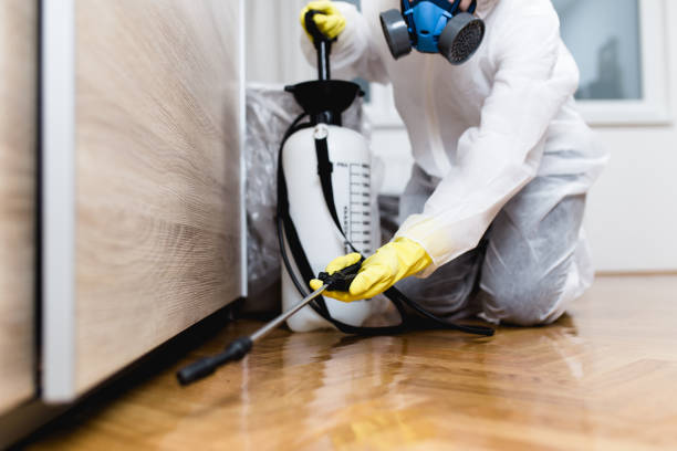 Best Mosquito Control Services  in , VA