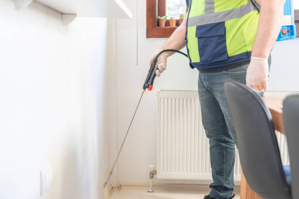 Best Wasp Removal Services  in , VA
