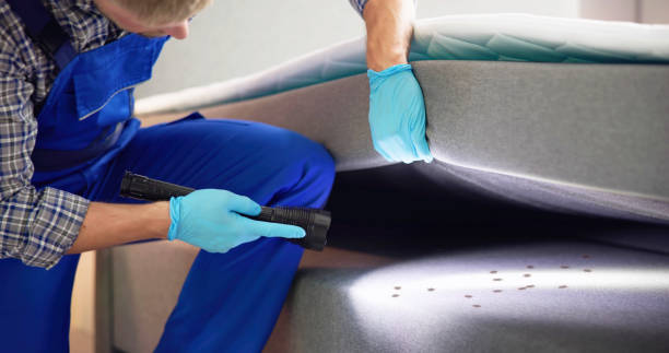 Best Affordable Pest Control Services  in , VA