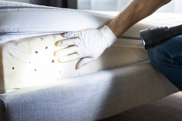 Best Pest Inspection Near Me  in , VA